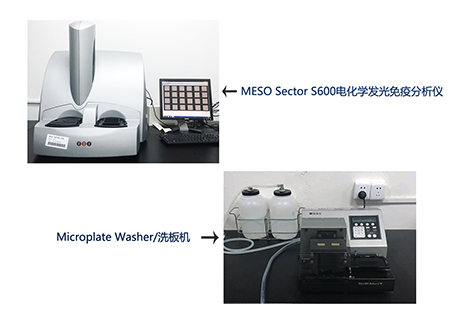 s36沙龙会电化学发光免疫分析仪和全自动洗板机