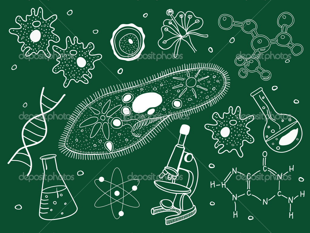 Nature：科学家找到杀死抗药细菌的新靶点