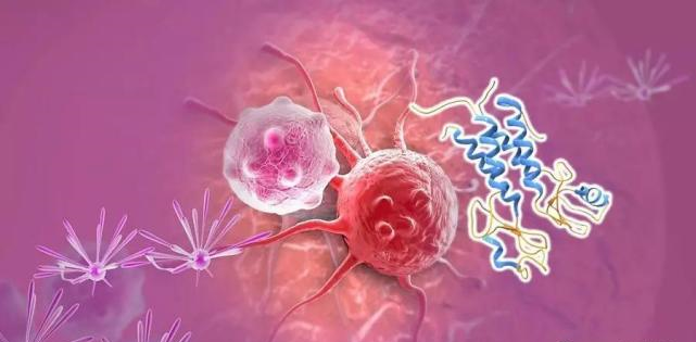 【盘点】高选择性mTOR抑制剂的研究进程_s36沙龙会生物医药