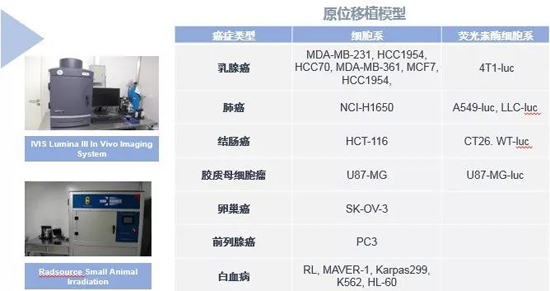 s36沙龙会药效学动物模型