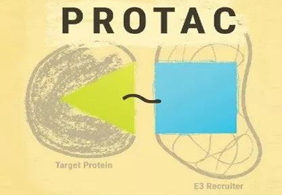 热点前沿:PROTAC初露锋芒，SD-36对抗肿瘤效果卓越