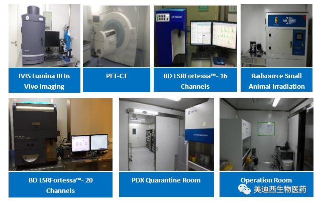 s36沙龙会药理部拥有IVIS Lumina III, PET-CT, BD LSRFortessa-16, Flow Cytometry等仪器，提供符合申报，支持临床试验的药效评价服务。