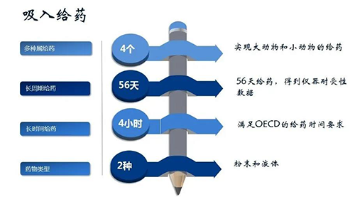 s36沙龙会吸入给药安全性评价服务