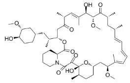 雷帕霉素新制剂用于罕见病，获4500万美元融资