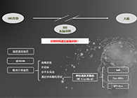 人工合成NT类脂质开放血脑屏障，为CNS药物打开新局面