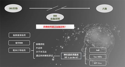 人工合成NT类脂质开放血脑屏障，为CNS药物打开新局面