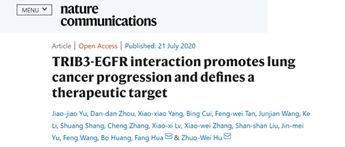 Nature|非小细胞肺癌治疗新方案：靶向降解EGFR