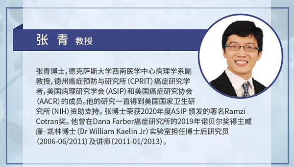 直播预告|诺奖实验室讲师张青教授做客s36沙龙会云讲堂，揭示乳腺癌和肾癌治疗新靶点