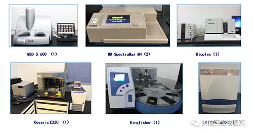 s36沙龙会生物技术药物分析部服务仪器