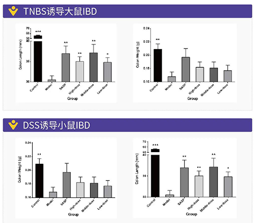 TNBS诱导的大鼠IBD、DSS诱导的大鼠IBD