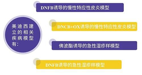 s36沙龙会建立的特应性皮炎及湿疹模型