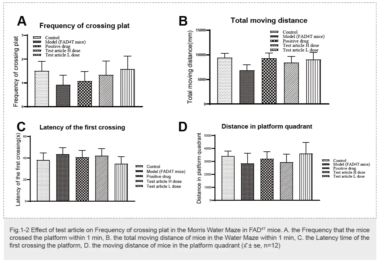 Experiment of Morris Water Maze Test in FAD4T mice-2.webp