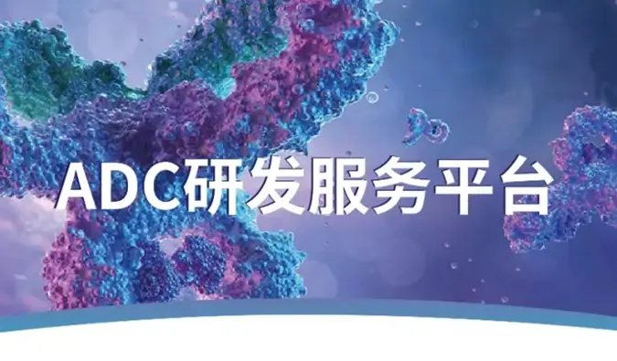 一文读懂：抗体偶联药物（ADC）