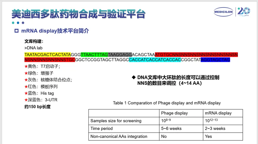 s36沙龙会多肽药物合成与验证平台.webp