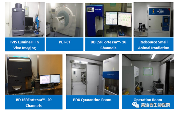 s36沙龙会药理部拥有IVIS Lumina III, PET-CT, BD LSRFortessa-16，Flow Cytometry等仪器