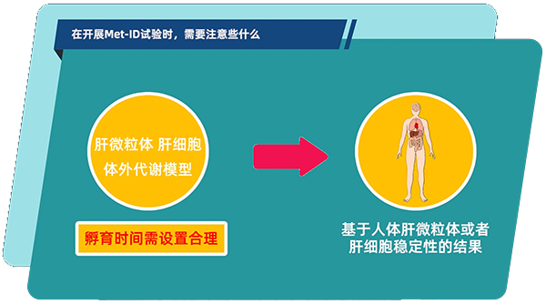 肝微粒体、肝细胞体外代谢模型中，孵育时间需设置合理.jpg