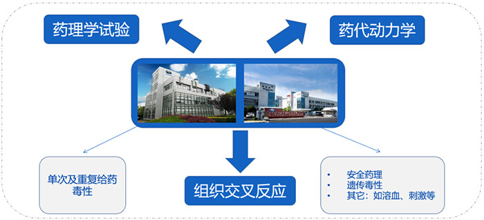 s36沙龙会ADC药物研发服务内容.jpg