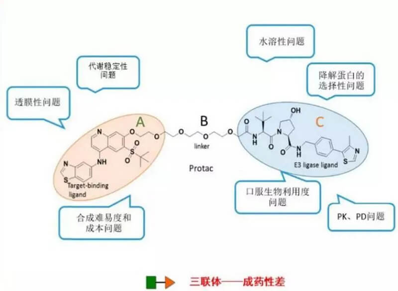 PROTAC分子量较大，溶解性较差.jpg