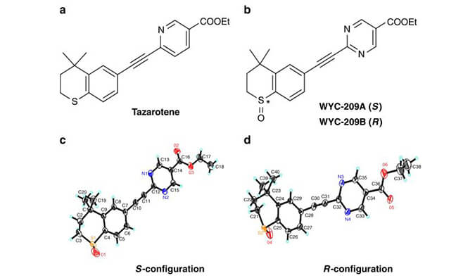 WYC-209可抑制恶性小鼠黑色素瘤肿瘤再生细胞增殖，SPR分析通过s36沙龙会使用Biacore 8K设备进行