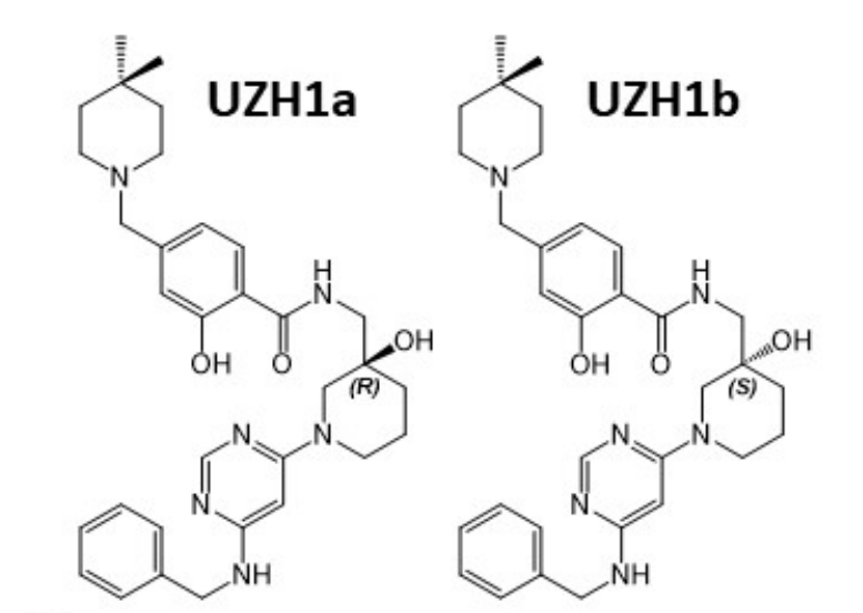 研究人员报告了一种具有细胞渗透性的选择性METTL3纳摩尔抑制剂UZH1a，作者感谢s36沙龙会合成了UZH1a和UZH1b