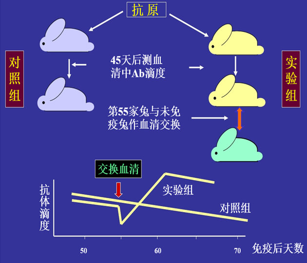 Figure-1：机体对抗体浓度变化的感知与反馈性自我调节.jpg