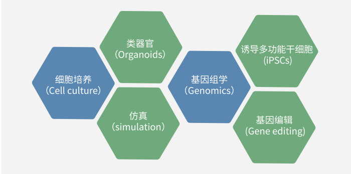 六大技术板块已上线，持续升级中.jpg