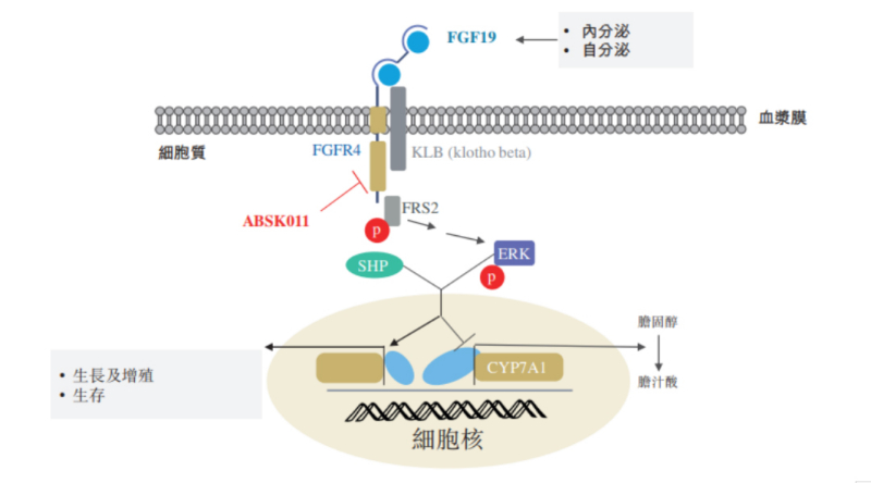 图源：公开资料.jpg