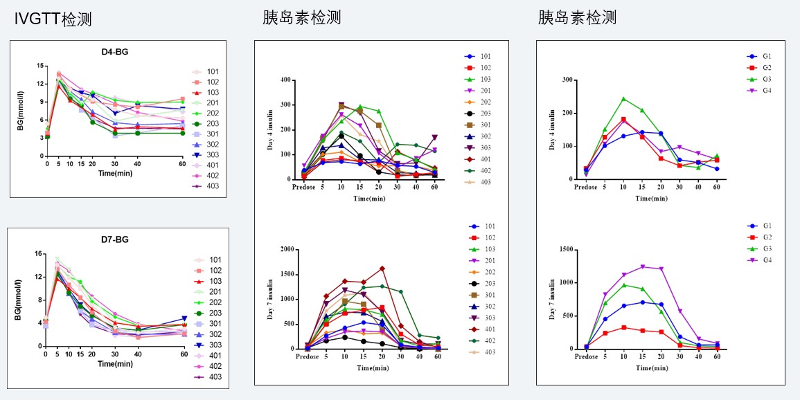 案例4：食蟹猴IVGTT和胰岛素检测实验.jpg